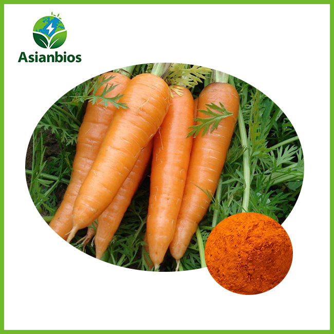 Carrot Freeze-Dried Powder